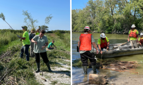 Work on a completed 2021 project: Otter Creek Habitat Restoration